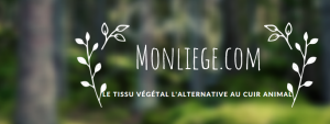 monliege.com